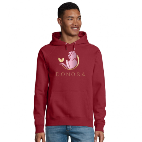 Mockup-00419385-hoodie-organic-unisex