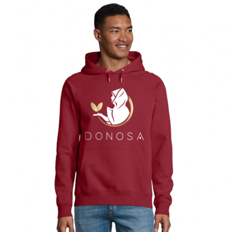 Mockup-00416151-hoodie-organic-unisex